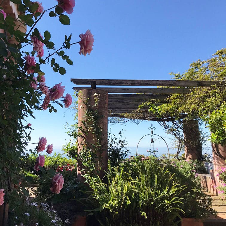 Foto_giardini_3