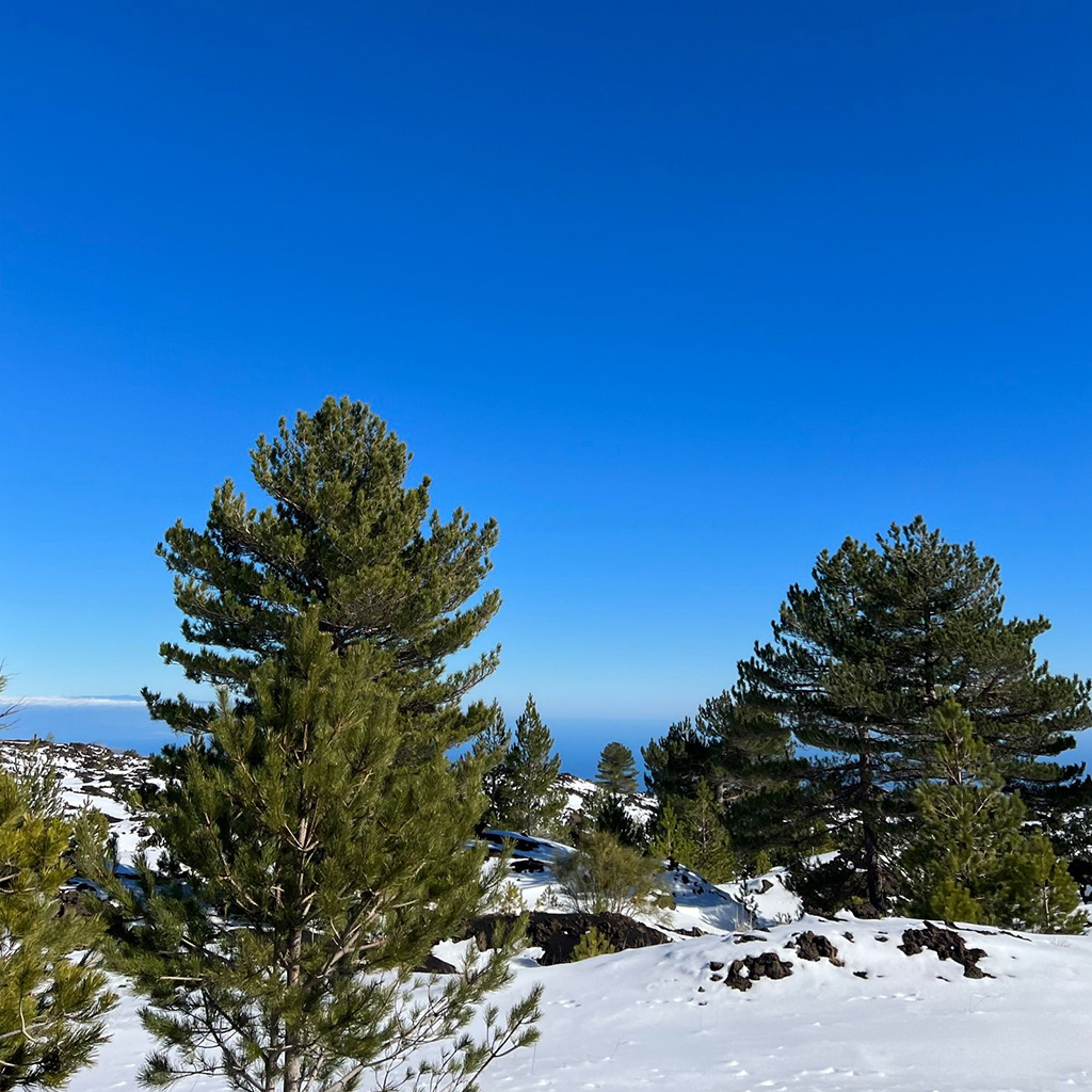tour_sicilytudine_etna_tour_dicembre_neve_escursioni